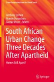 South African Urban Change Three Decades After Apartheid