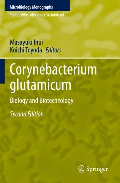 Corynebacterium glutamicum