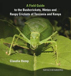 A Field Guide to the Bushcrickets, Wetas and Raspy Crickets of Tanzania and Kenya - Hemp, Claudia