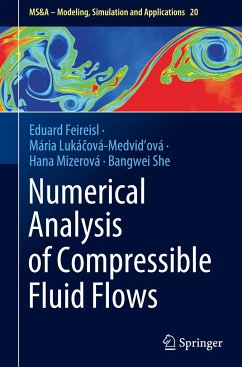 Numerical Analysis of Compressible Fluid Flows - Feireisl, Eduard;Lukácová-Medvidová, Mária;Mizerová, Hana