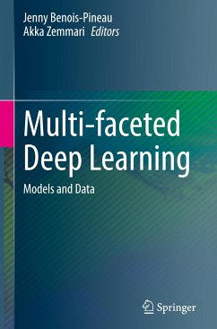 Multi-faceted Deep Learning