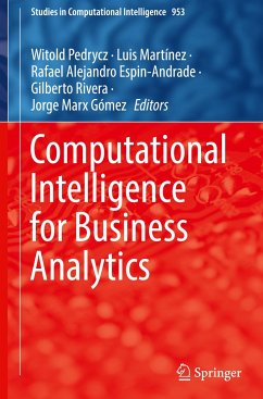 Computational Intelligence for Business Analytics