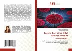 Epstein-Barr Virus (EBV) dans les tumeurs mammaires