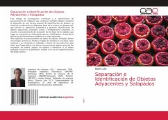 Separación e Identificación de Objetos Adyacentes y Solapados - Lobo, Eladio
