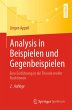 Analysis in Beispielen und... - Bild 1