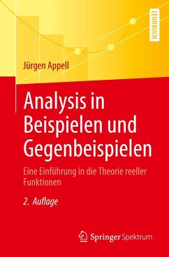 Analysis in Beispielen und Gegenbeispielen - Appell, Jürgen