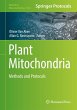 Plant Mitochondria - Bild 1