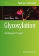 Glycosylation - Bild 1