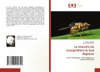 La mouche du vinaigreDans le Sud Algérien
