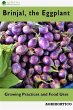Brinjals, the Eggplant (eBook, ePUB) - Bild 1