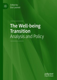 The Well-being Transition (eBook, PDF)
