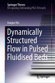 Dynamically Structured Flow in Pulsed Fluidised Beds (eBook, PDF)