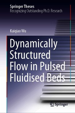Dynamically Structured Flow in Pulsed Fluidised Beds (eBook, PDF) - Wu, Kaiqiao