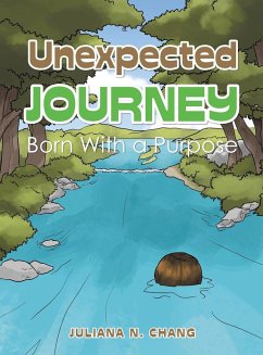 Unexpected Journey - Chang, Juliana N.