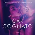 Caro cognato - Racconto erotico (MP3-Download)