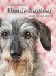 Hunde-Rentner - Bild 1