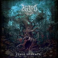 Place Of Power - Zgard