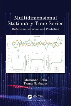 Cover Multidimensional Stationary Time Series (eBook, PDF)
