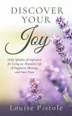 Discover Your Joy (eBook, ePUB)