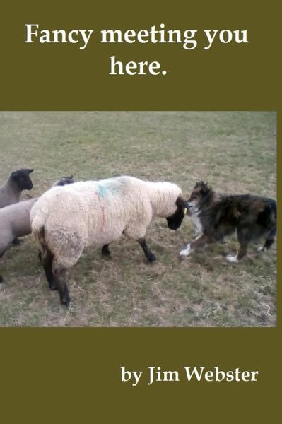 Fancy Meeting You Here (eBook, ePUB)