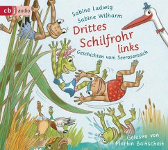 Drittes Schilfrohr links - Geschichten vom Seerosenteich - Ludwig, Sabine