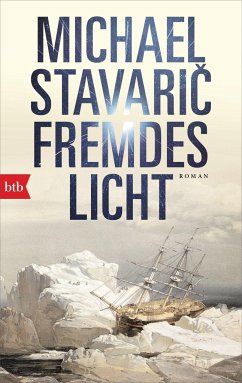 Fremdes Licht - Stavaric, Michael