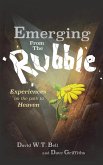 Emerging from the Rubble (eBook, ePUB)