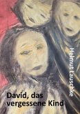 David, das vergessene Kind (eBook, ePUB)