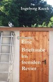 Eine Brieftaube im fremden Revier