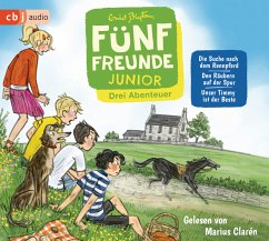 Fünf Freunde Junior Bd.2-4 (CD) - Blyton, Enid