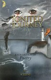 Ignited Journey (eBook, ePUB)