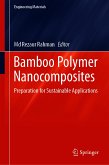 Bamboo Polymer Nanocomposites (eBook, PDF)