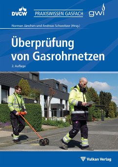 Überprüfung von Gasrohrnetzen (eBook, PDF)