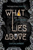 What Lies Above (eBook, ePUB)