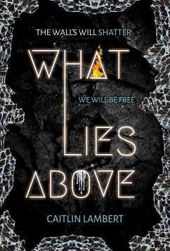 What Lies Above (eBook, ePUB) - Lambert, Caitlin