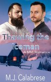 Thawing the Iceman (eBook, ePUB)