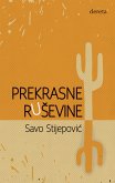 Prekrasne ruševine (eBook, ePUB)