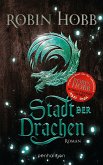 Stadt der Drachen / Die Regenwildnis Chroniken Bd.2