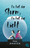 Du bist der Sturm, du bist das Licht (eBook, ePUB)