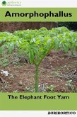 Amorphophallus (eBook, ePUB)