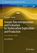Seismic Data Interpretation and... - Bild 1