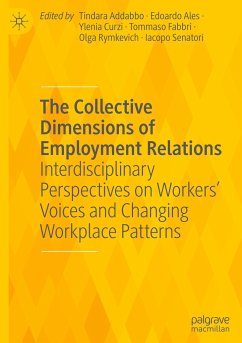 The Collective Dimensions of Employment Relations