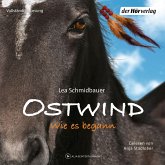 Wie es begann / Ostwind Bd.7 (6 Audio-CDs)