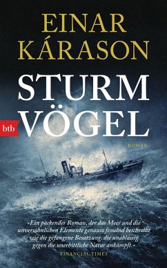 Sturmvögel - Kárason, Einar