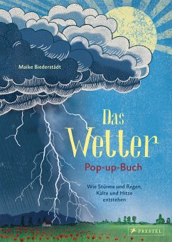 Das Wetter. Pop-up-Buch - Biederstädt, Maike