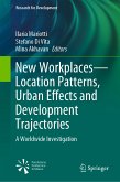 New Workplaces—Location Patterns, Urban Effects and Development Trajectories (eBook, PDF)