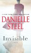 Invisible (eBook, ePUB) - Bild 1
