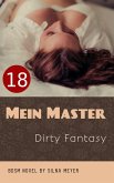 Mein Master (eBook, ePUB)