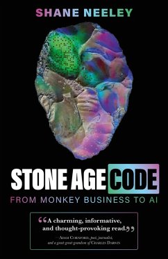 Cover Stone Age Code (eBook, ePUB)