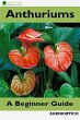 Anthuriums (eBook, ePUB) - Bild 1